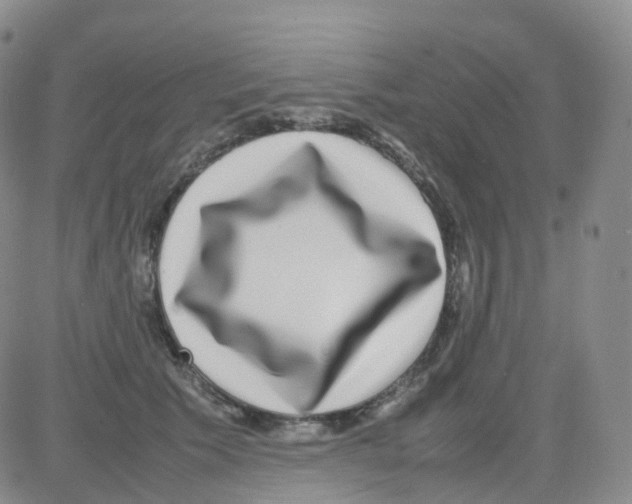 X0000082740609200702240015