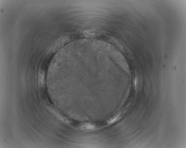 X0000082740610200702240015