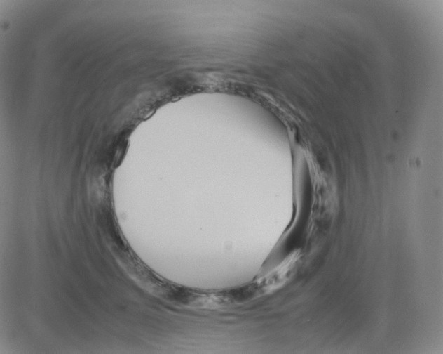 X0000082740611200702240015