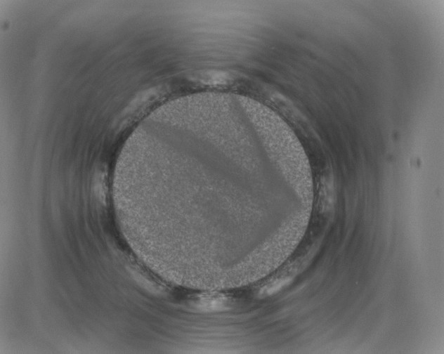 X0000082740612200702240014