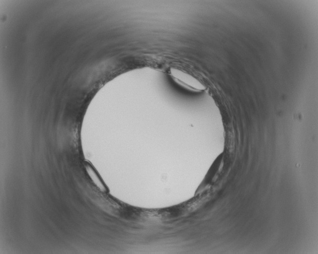 X0000082740613200702240014