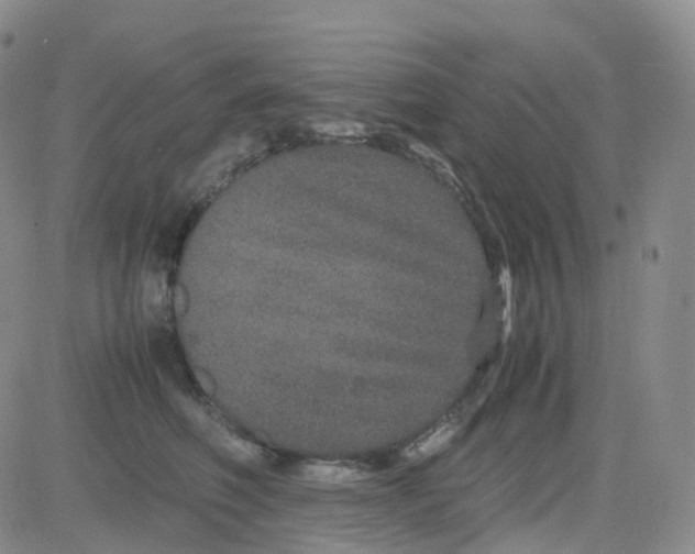 X0000082740614200702240014