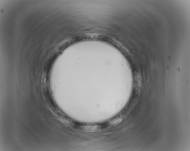 X0000082740615200702240014