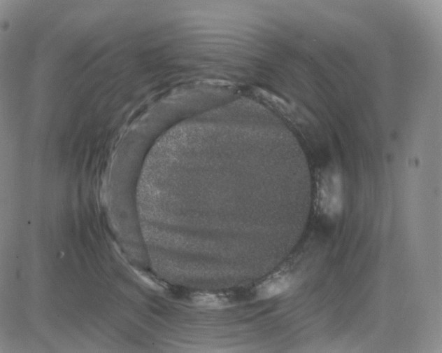 X0000082740616200702240014