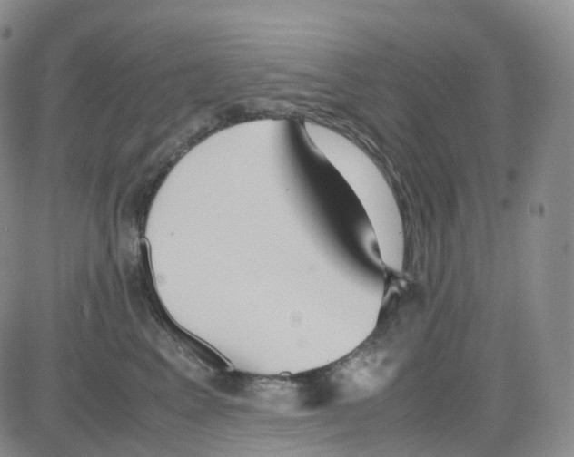 X0000082740617200702240014