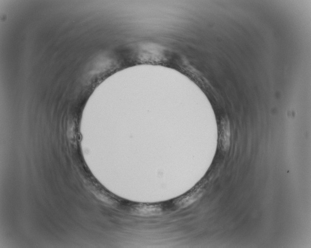 X0000082740619200702240014