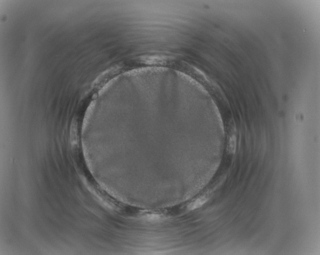 X0000082740620200702240014