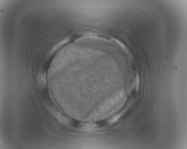 X0000082740621200702240014