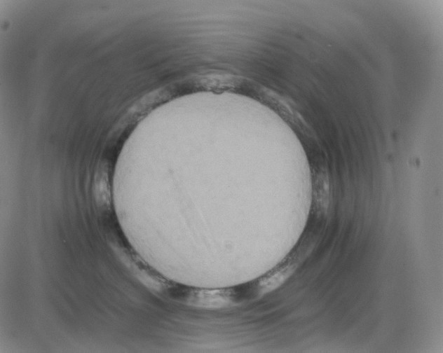 X0000082740622200702240014