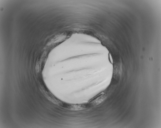 X0000082740623200702240014