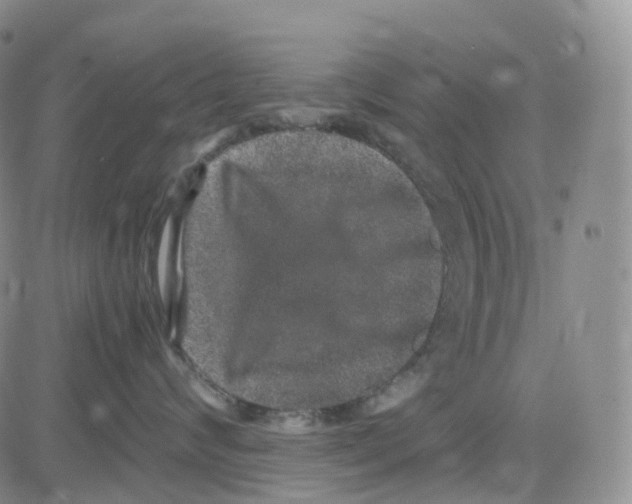 X0000082740624200702240014