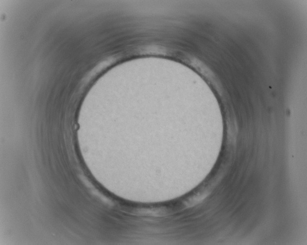 X0000082740625200702240014