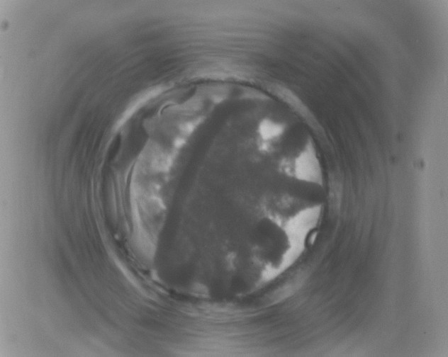 X0000082740626200702240014