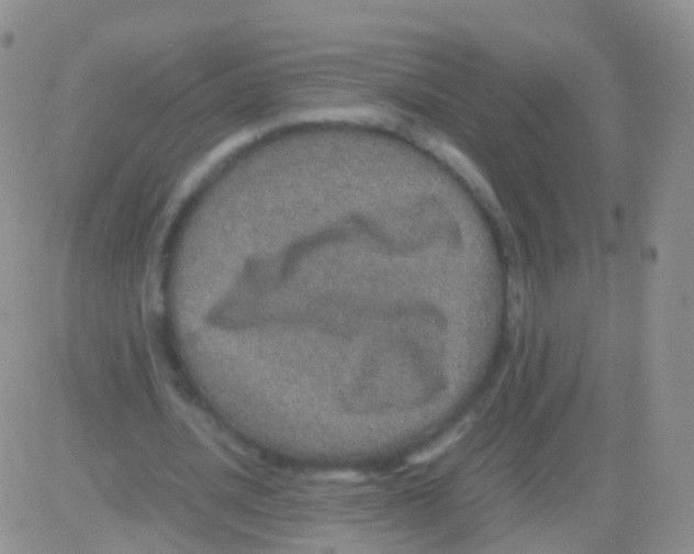 X0000082740628200702240014