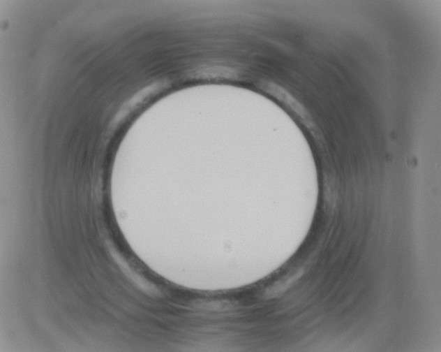 X0000082740629200702240014