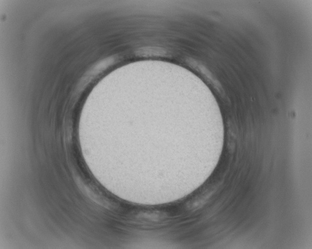 X0000082740631200702240014