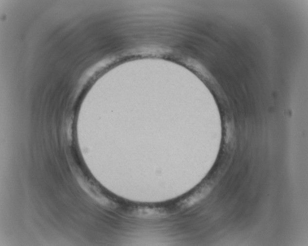 X0000082740632200702240014