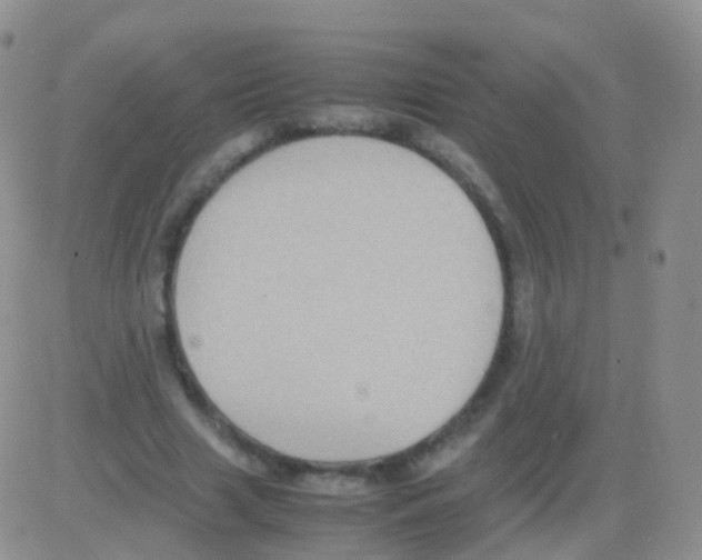 X0000082740633200702240014