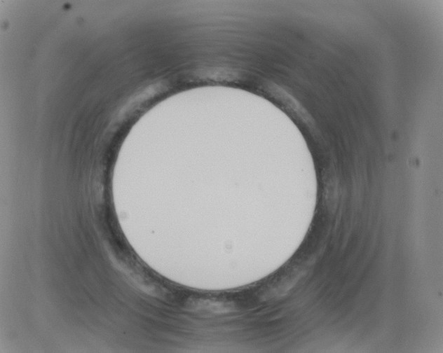 X0000082740635200702240014