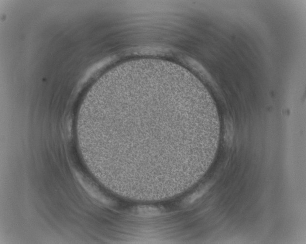 X0000082740636200702240014