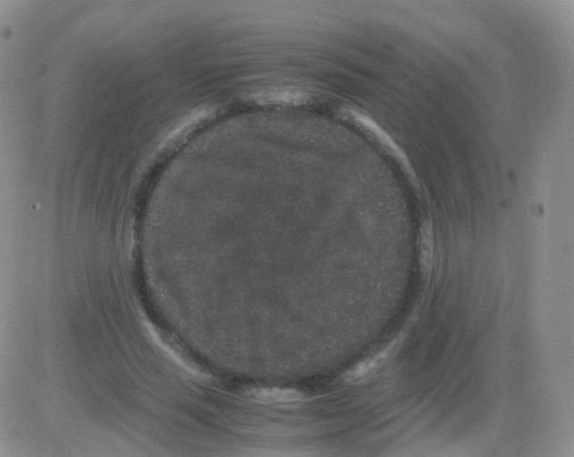 X0000082740637200702240014