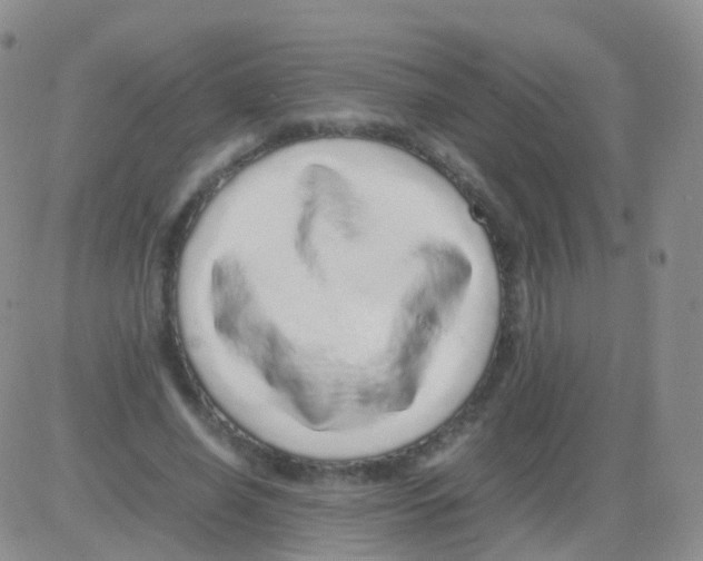 X0000082740638200702240014