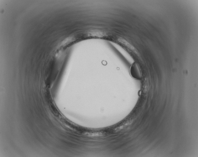 X0000082740639200702240014