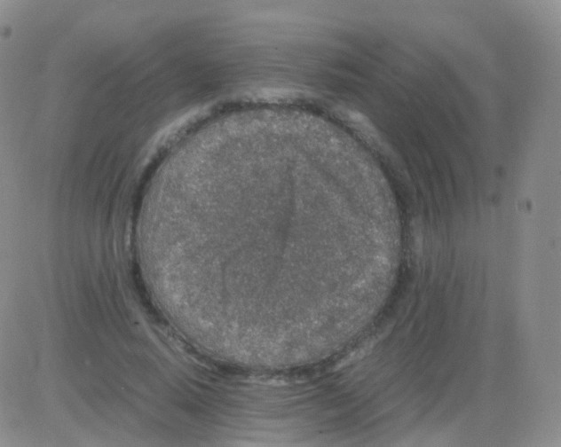 X0000082740640200702240014