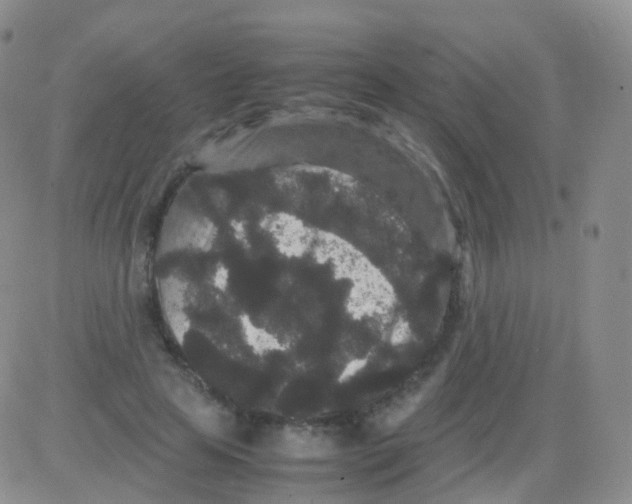 X0000082740641200702240014