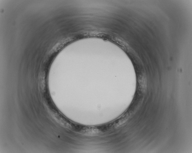 X0000082740642200702240014