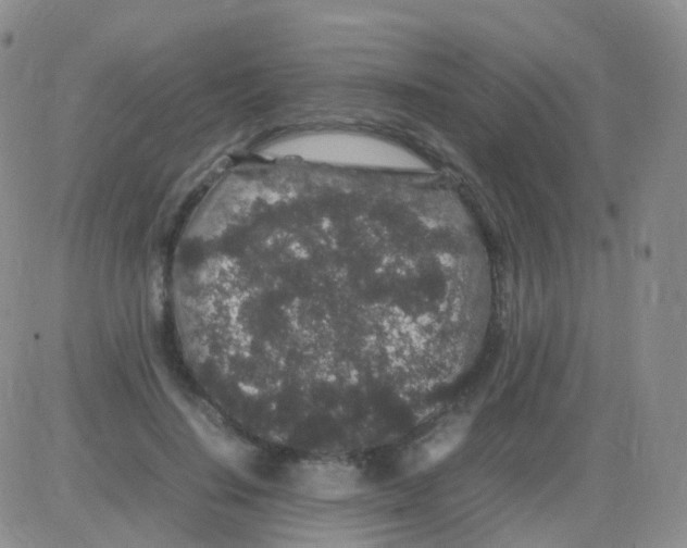 X0000082740644200702240014