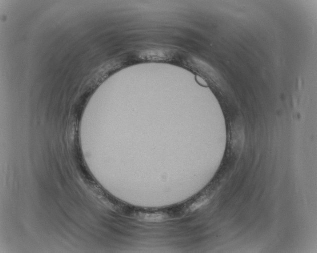 X0000082740645200702240014