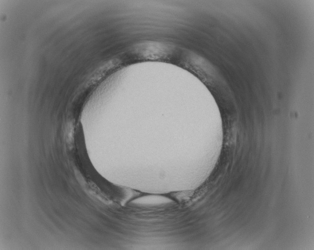 X0000082740646200702240014