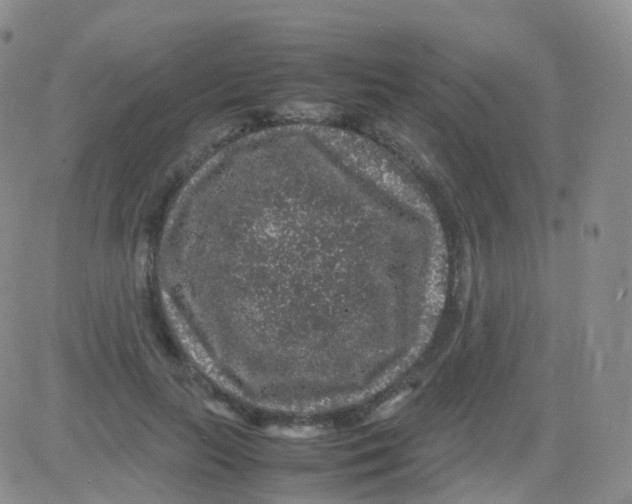 X0000082740647200702240014