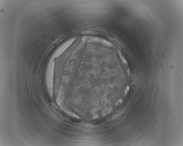 X0000082740648200702240014