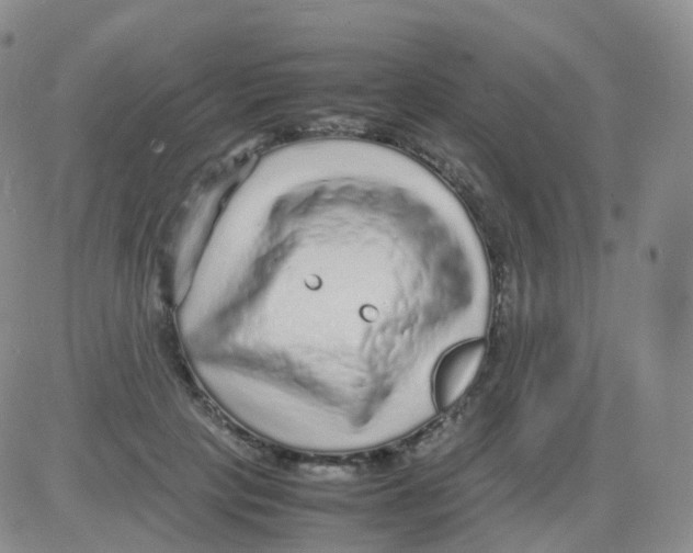 X0000082740649200702240014