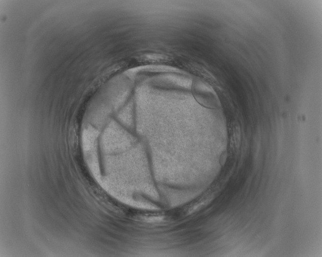 X0000082740651200702240014