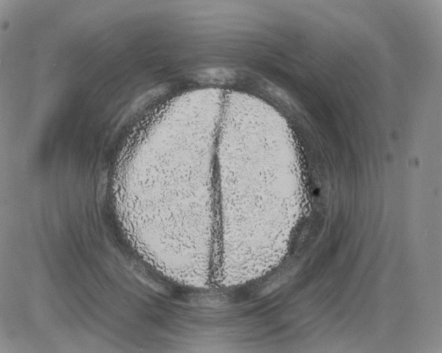 X0000082740652200702240014