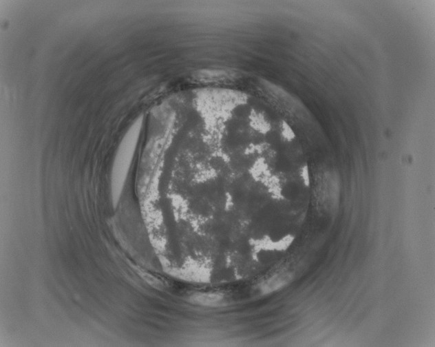 X0000082740653200702240014