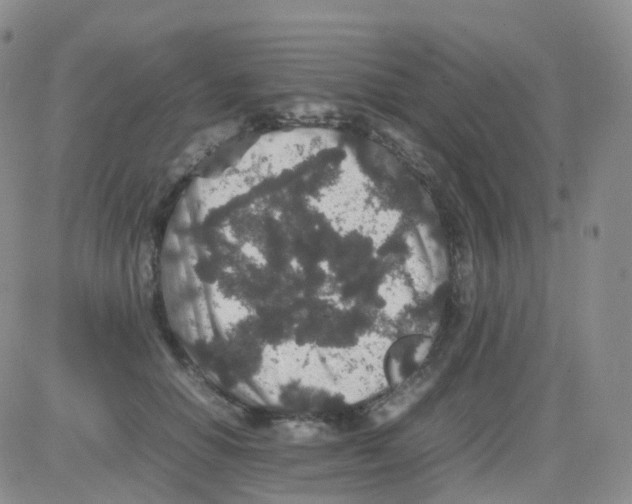 X0000082740654200702240014