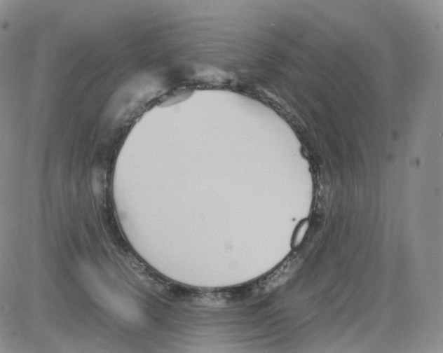 X0000082740656200702240014