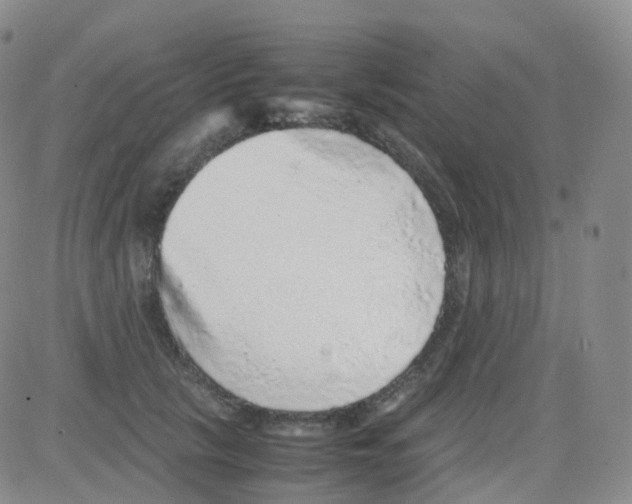 X0000082740657200702240014