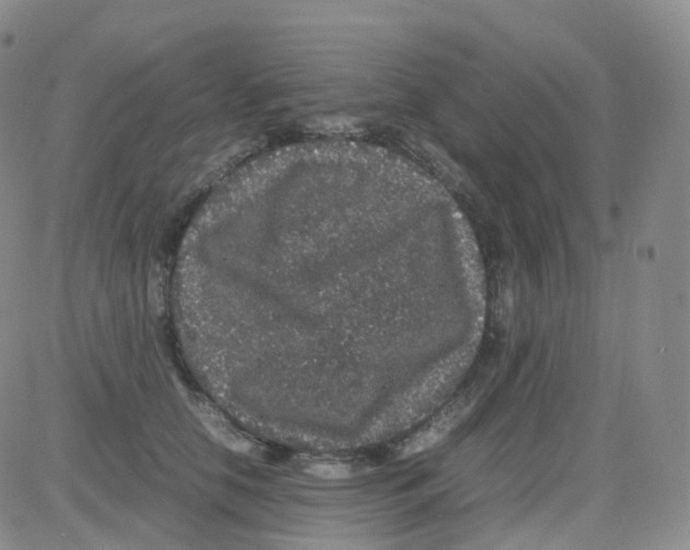 X0000082740658200702240014