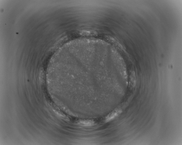 X0000082740659200702240014