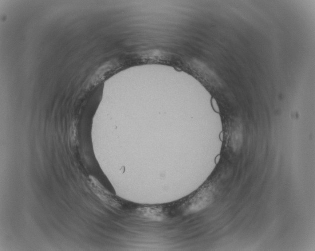 X0000082740660200702240014