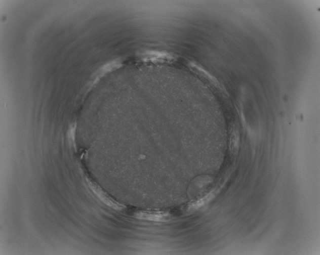 X0000082740661200702240014