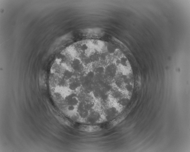 X0000082740663200702240014