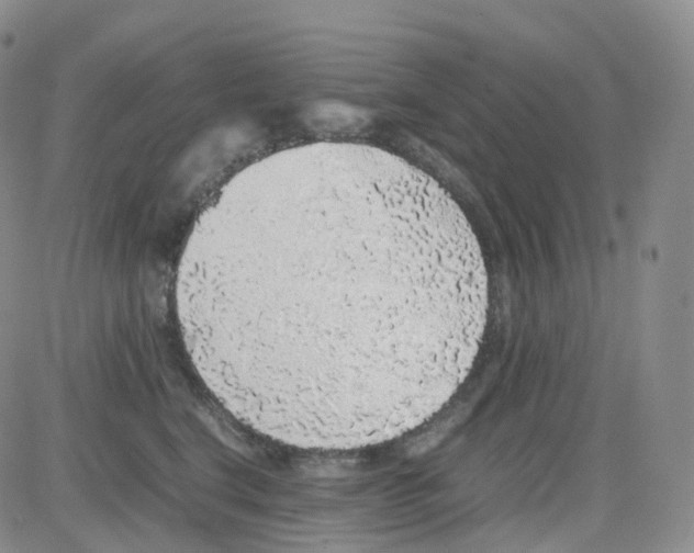 X0000082740664200702240014