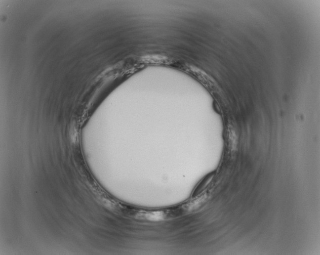 X0000082740665200702240014