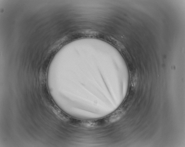 X0000082740666200702240014